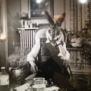 Meet your Posher, Tuan